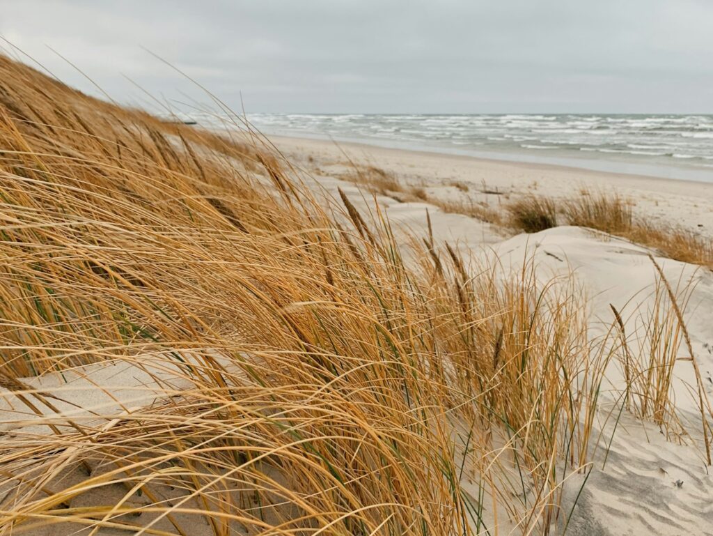 Düne mit Gras im Vordergrund. Hinten die an der Ostsee. Der Himmel ist grau und bewölkt.