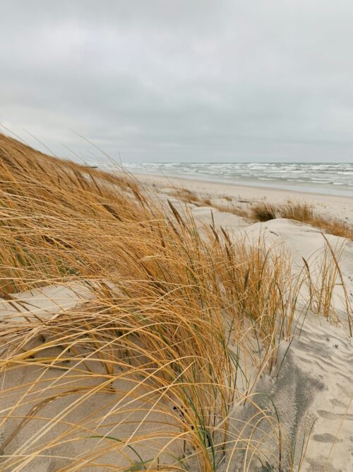 Düne mit Gras im Vordergrund. Hinten die an der Ostsee. Der Himmel ist grau und bewölkt.