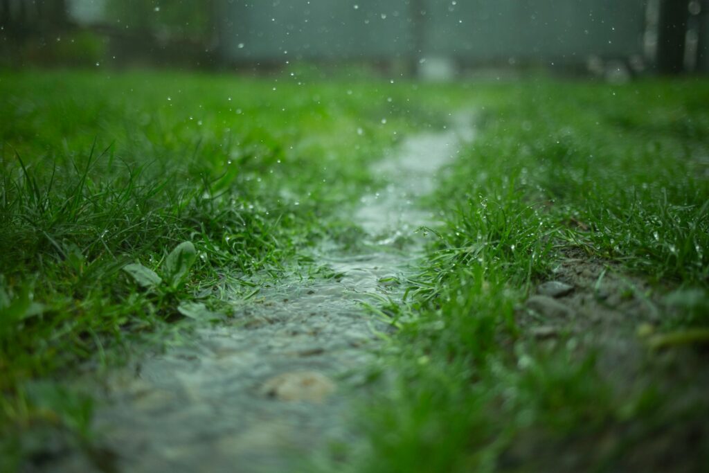 Es ist Gras zu sehen auf das Regen fällt. Ein kleines Rinnsal leitet das Wasser ab.