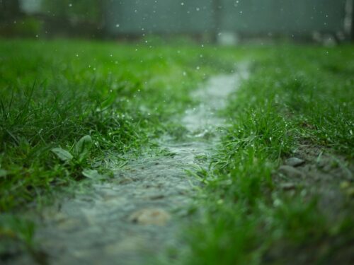 Es ist Gras zu sehen auf das Regen fällt. Ein kleines Rinnsal leitet das Wasser ab.
